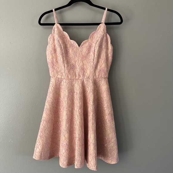 Mi Ami Lace Blush‎ Pink Fit & Flare Mini Dress - Picture 1 of 15